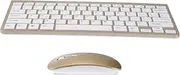 SWOOMEY 2.4G Wireless Keyboard and Mouse Ultra Thin Mini Keyboard with Sleek Design for Home Office Compatible with Tablet and Computer Portable and Easy to Carry Golden