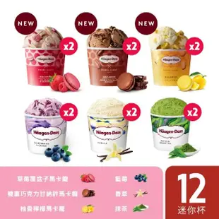 【Haagen-Dazs 哈根達斯】極致奇幻堅果樂園迷你杯12入組(栗子塔2開心果2草莓2夏果2巧克力2抹茶2)