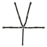 Impact Racing 58346661 5-Pt Qm Harness Camlock Pull Down