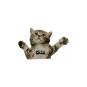 One Mfg Flying Cat Snowboard Stomp Pad 6" x 4" - Lightweight, Anti-Slip, Trac...