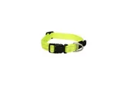 Rogz Yellow Medium 16mm Wide x 26cm to 40cm Classic Utility Collar for Dogs & Puppies