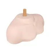 Soft PVC Cosmetology Mannequin Heads Stand Holder with Shoulder Training Doll Wi