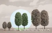 Deciduous Trees 100mm (Pack of 2) HO/OO Gauge Busch 6053