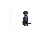 Neoprene Dog Harness (Navy Check) - Medium