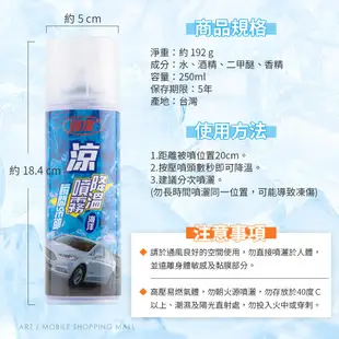 急速降溫噴霧 250ml 台灣製 瞬間冷卻 涼感噴霧 冰涼噴霧 降溫噴霧 急凍噴霧 降溫劑 冰涼劑 清涼噴霧 ARZ