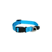 Rogz Classic Collar Turquoise (Medium) | For Dogs