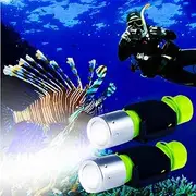 BlueFire Scuba Dive Torch, 1200 Lumen Scuba Diving Flashlight IPX-8 Waterproof Diving Torch Tactical Flashlight LED Torches Underwater Flashlight for Outdoor Underwater Sports(2 Pack)