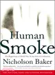 Human Smoke ─ The Beginnings of World War II, the End of Civilization