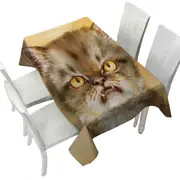 Cool Cat Art Angry Furious Kitten Tablecloth