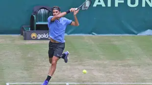 Nike Federer 費德勒 哈雷草地網賽冠軍🏆 網球鞋