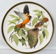 1977 Franklin Porcelain Wedgwood "Songbirds of The World" BALTIMORE ORIOLE Plate