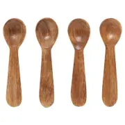 Now Designs Mango Wood Mini Spoons - Set of 4 (5228001)