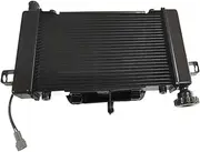 Motorcycle Accessories LX500-F 500AC 500DS Radiator Water Tank Assembly Cooling Box
