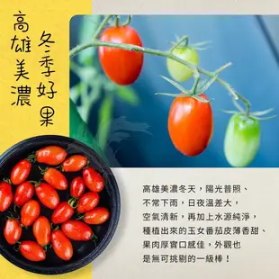 【禾鴻】高雄美濃溫室玉女小番茄5斤x4盒【預購】