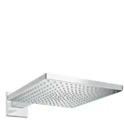Hansgrohe shower head Raindance E 300 1jet 26238000