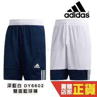 Adidas 籃球褲 藏青白 雙面穿 愛迪達 雙面球褲 團體球褲 男籃球褲 籃球 球褲 DY6602 永璨