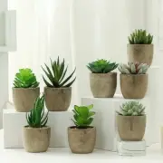 Artificial Succulent Plants Small Faux Cacti Mini Pot Plants Indoor Plant