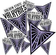 Desert Cactus Golden State Valkyries Stickers WNBA Women's National Basketball Association Officially Licensed Vinyl Decal Laptop Water Bottle Car Scrapbook (Type 1-1)