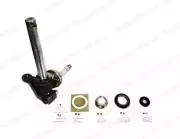 MAHINDRA TRACTOR STEERING KNUCKLE LH WITH WELDED ARM AND 5 PIECE KIT 005554708