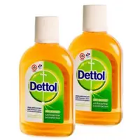 在飛比找蝦皮購物優惠-Dettol 消毒液 95ml 滴露沐浴露 800ml 滴露