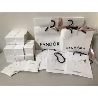 在飛比找蝦皮購物優惠-Pandora 串飾盒子 紙袋 拭銀布