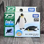 《HT》純日貨 TOMICA 多美動物園AS-11 皇帝企鵝（漂浮版）615460