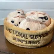 Emotional Support Dumplings Soft Food Plushies Plush toys