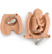 SB32873 Articulating Newborn for Leopold's Maneuvers and Birthing Exerci Gau