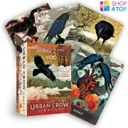 URBAN CROW ORACLE CARDS DECK & GUIDEBOOK MJ CULLINANE WISDOM HAY HOUSE NEW