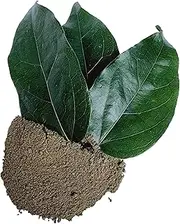 Tiliacora Triandra Powder, Made From 100% Tiliacora Triandra - Pure, Natural Bai Yanang Leaf - Net Weight: 1.76oz/50g