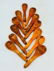 Nautical Wooden Spoons Set of 12 Made in Rosewood for Spices,Sugar,Salt,Tea Jars