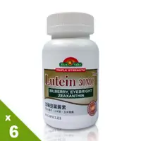 在飛比找ETMall東森購物網優惠-美國培恩-複方葉黃素30毫克60粒-6瓶入