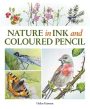 Nature in Ink and Coloured Pencil by Helen Hanson Paperback Book