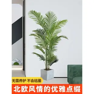 高端輕奢仿真綠植散尾葵造景假植物裝飾室內盆栽客廳塑料花大型樹