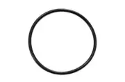 Onga LSFII Sand Filter Valve Oring for Diffuser
