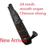 Professional 24 Reeds With Five Mechanical Keys concert master Sheng
