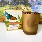 Old Stock Crabtree & Evelyn GUILDED CHESTNUT Fragranced Votive Candle + Holder