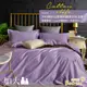 【Betrise靚紫】純色系列 加大 頂級300織100%精梳長絨棉素色刺繡四件式被套床包組