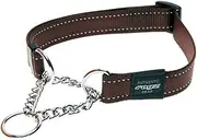 Reflective Nylon Choke Collar; Slip Show Obedience Training Gentle Choker for Large Dogs, Brown