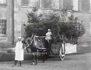 WATERFORD, Ireland - "Power's" the Seeds & Trees company on 16th December 1929