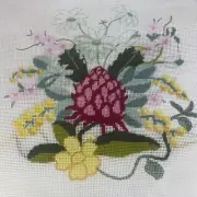 Vintage Needlepoint Waratah & Wattle Australian Flower Canvas 30cm Sq - Started