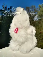 Llama/Alpaca Figure Handmade Real "Alpaca Fur" Toy Ornament Multicolored 12"