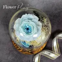 在飛比找鮮拾優惠-【Flower Plus】 冰清玉潔｜永生花玻璃罩