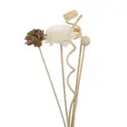 5Pcs Chrysanthemum Flower Rattan Reed Diffuser Stick Replacement Home Fragrances