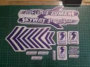 BMX Old School Skyway Streetbeat Decals 80s Vintage