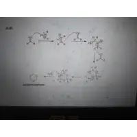 在飛比找蝦皮購物優惠-Klein organic chemistry 習題解答