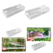 Fish Isolation Box Fishing Photo Box Acrylic Hatching Incubator with Scale