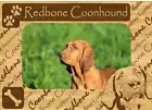 Redbone Coonhound w Paws Engraved Wood Picture Frame Magnet
