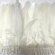 Goose Nagoire Feather PARRIED Ribbon Strung per metre - White