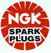 Coil On Spark Plug Boot NGK 59029